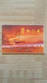 小小忍者疾风传