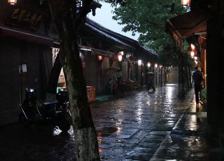 逃离野丛之森